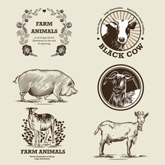 Goat, sheep, pig, cow. Illustration in the style of engraving.