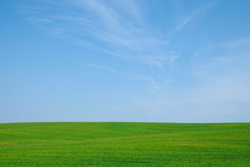 Green field hills isolated on sky background. Ukrainian nature. Copy space.                   Copy space.