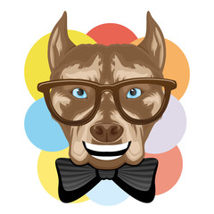 Funny pit bull terrier dog in glasses and colored circles on a white background.