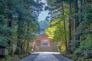 新潟 弥彦神社 随神門と美しい参道