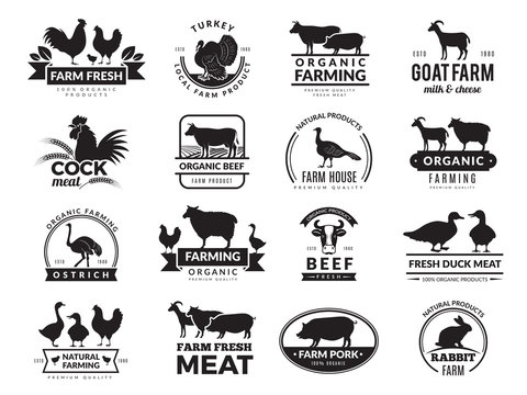 Farm animals. Business logo with domestic animals cow chicken goat healthy food symbols vector farm collection. Cow silhouette, chicken and sheep meat illustration