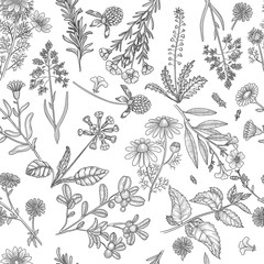 Fototapeta premium Wzór ziół. Rośliny lecznicze, kwiaty i zioła natura wyciągi bezszwowe tło wektor. Ilustracja ekstrakt kwiatowy, naturalny wzór