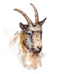 Watercolor single goat animal isolated on a white background illustration.