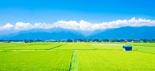 Foto op Canvas Zomer Shinshu Azumino landelijk landschap breed © oben901