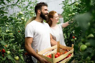 Two young people working in greenhouse.