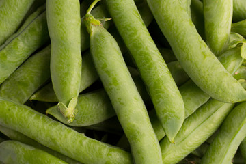Young peas. Pods of peas. Pods of green peas close-up.
