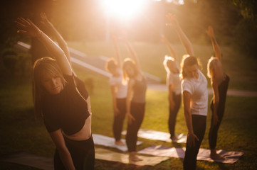 Group of women do yoga in city park on summer sunny sunrise or sunset. Group of people are tilting...