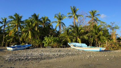 Fototapeta na wymiar Palmenstrand von Samara in Costa Rica