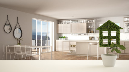 White table top or shelf with green plant in pot shaped like house, modern blurred kitchen in the background, interior design, real estate, eco architecture concept idea