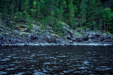 Blue rocky shore with pine forest. Background for travel and adventure materials