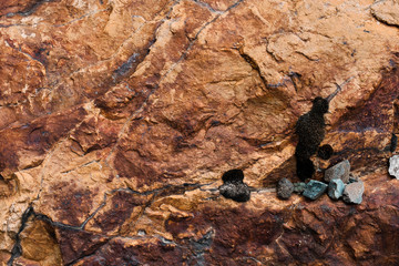 The texture of the large ryzhygo stone is similar to burnt clay. An admixture of iron ore. Moss grows on a stone, the shape of which is similar to a bird and small gray stones resemble a nest.