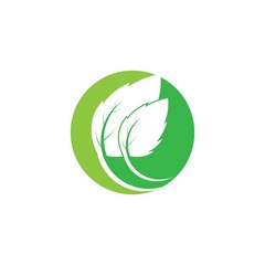 Eco icon green leaf vector illustration isolated. - Vector