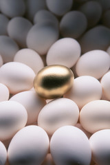 Golden egg sitting on a field of white eggs.
