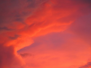 Beautiful mystical pink sunset. Summer time.