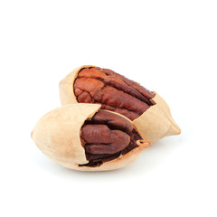 Pecan nuts isolated closeup.