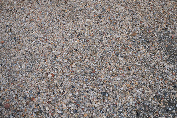 Milano Marittima, Italy -  July 28, 2019 : Broken seasheels by the shore