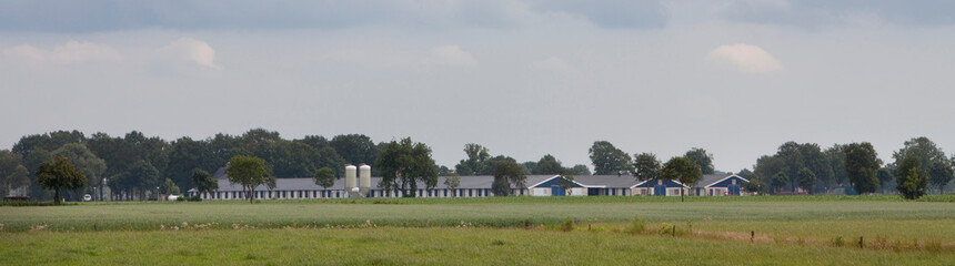 Modern chicken stable Netherlands. Farming. Poultry