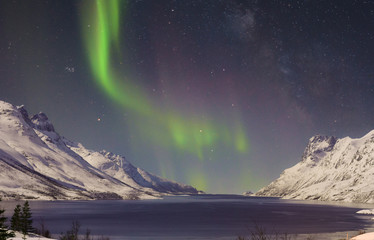 A gorgeous exhibit of the Northern Lights over the Norwegian fjords