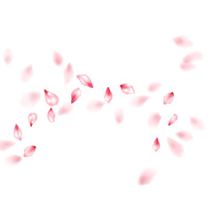 Pink sakura flower flying petals isolated on white vector background.
