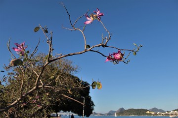 aterro do flamengo