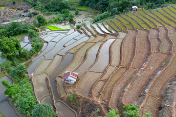 Fototapeta na wymiar Terraced rice paddy field in Chiang Mai, Thailand.