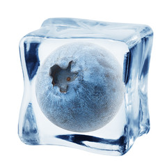 blueberry in ice cube, isolated on white background, clipping path, full depth of field