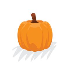 Orange pumpkin with cartoon style. Autumn halloween pumpkin, vegetable graphic icon. Vector illustration.