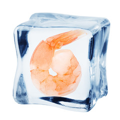 shrimp in ice cube, isolated on white background, clipping path, full depth of field