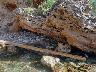Beach scene with and old wood