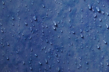 colored tile walls, with water droplets attached