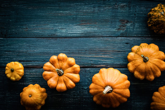 autumn background of variety pumpkins on a dark wooden table