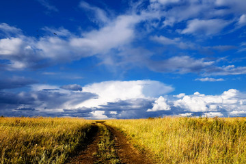 Fototapeta na wymiar Stormy cloudy sky above the yellow field landscape