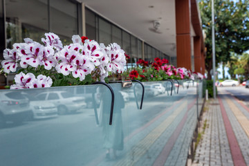 Beautiful balcony decorated with flowers. View from the street.