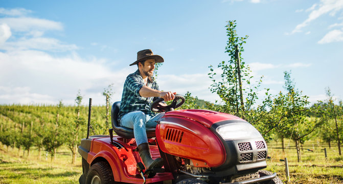 A mature farmer driving mini tractor outdoors in orchard.