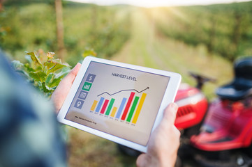 A midsection of farmer with tablet standing by mini tractor outdoors in orchard.