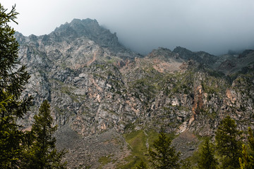 Lighted mountainside with convex stones. Sharp peaks begin to hide impenetrable fog. Tall trees...