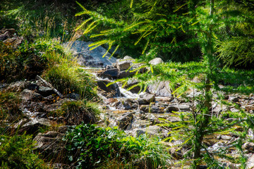 A small alpine creek near the Dolomites, in Passo Pennes, in the province of Bolzano, Italy.