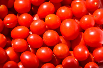 Cherry tomatoes collected from the garden in a bowl