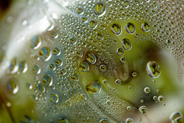 Water drops macro from a plastic bottle fifty megapixels