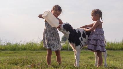 Authentic shot of two little girls are feeding from the bottle with dummy an ecologically grown...