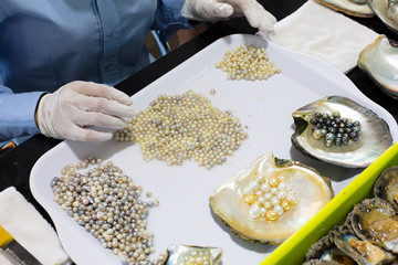 Pearl Farming and Oysters