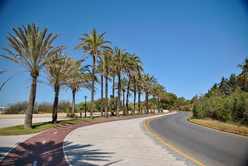 Fototapeta na wymiar seaside street with palm trees in Andalusia in Spain