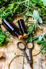 still life of fresh summer herbs and glass bottles