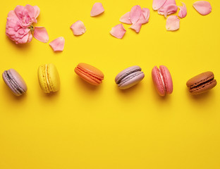 sweet multi-colored macarons with cream and a pink rose bud with scattered petals