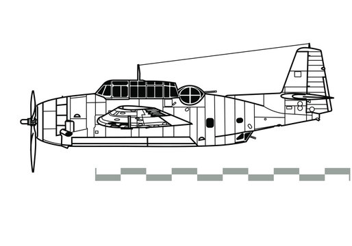Grumman TBF Avenger. Outline vector drawing