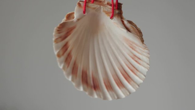 st. james shells scallops rotating, hanging, santo ano, holy year