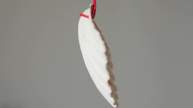 st. james shell scallop rotating, hanging, santo ano, holy year