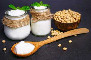 Fototapeta na wymiar Homemade yogurt from soy milk