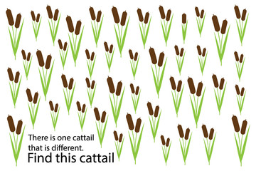 Find cattail that different, education puzzle game for children, preschool worksheet activity for kids, task for the development of logical thinking and mind, vector illustration - obrazy, fototapety, plakaty