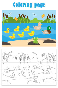 Pond with ducks, cartoon style, coloring page, education paper game for the development of children, kids preschool activity, printable worksheet, vector illustration